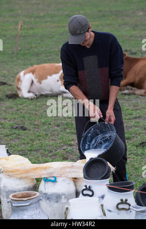 Man pouring fresh cows milk from a bucket into large container in the rural Hungarian area of Transylvania, Romania. Stock Photo