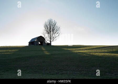 Old Barn and Tree isolated on hill in Silhouette at Sunset Stock Photo