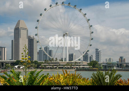 Flyer Wheel, Singapore Stock Photo