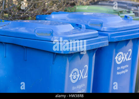 General blue waste domestic recycling bins issued by Denbighshire council waiting for collection Stock Photo