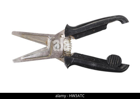 Garden secateurs isolated on white background Stock Photo
