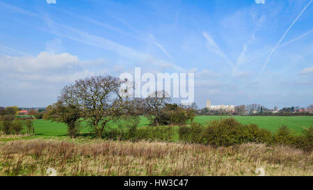 The rural, agricultural landscape in spring with view of fields with the minster on the horizon on a fine morning in Beverley, Yorkshire, UK. Stock Photo