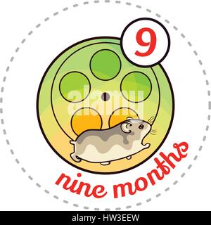 Monthly baby sticker. Cute cartoon animal illustration for little boy or girl. First year, nine months. Djungarian hamster in hamster wheel Stock Vector