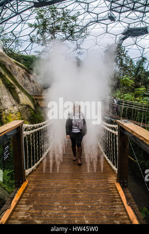 Eden Project, Cornwall, UK. 17th March 2017. UK Weather. Not only is it cloudy outside today, but also Inside the Eden project . On their canopy walkway, there is a new cloud bridge, and ropewalk bridge inside the huge rainforest biome. Credit: Simon Maycock/Alamy Live News Stock Photo