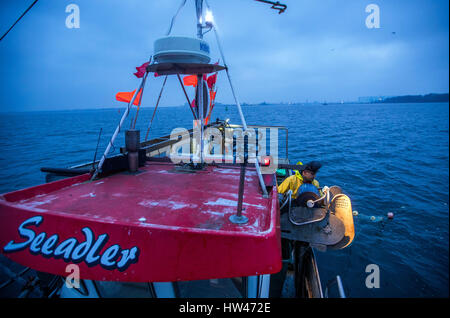 Wismar, Germany. 17th Mar, 2017. Fisherman Martin Saager hauls fishing nets on board the Seeadler trawler off the coast of Wismar, Germany, 17 March 2017. The fishing industry in the state of Mecklenburg-Western Pomerania is currently threatened by a combination of sinking EU fishing quotas, low demand, and rising costs. The area used to support some 170 fishing operations; today only three remain. Photo: Jens Büttner/dpa-Zentralbild/dpa/Alamy Live News Stock Photo