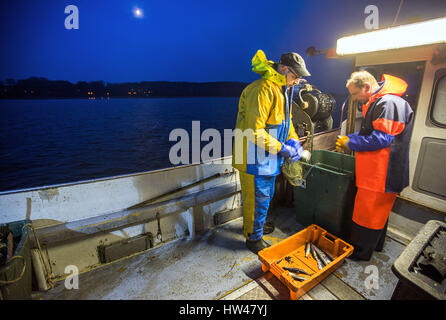 Wismar, Germany. 17th Mar, 2017. Fisherman Martin Saager and colleagues on board the Seeadler trawler in the harbour in Wismar, Germany, 17 March 2017. The fishing industry in the state of Mecklenburg-Western Pomerania is currently threatened by a combination of sinking EU fishing quotas, low demand, and rising costs. The area used to support some 170 fishing operations; today only three remain. Photo: Jens Büttner/dpa-Zentralbild/dpa/Alamy Live News Stock Photo