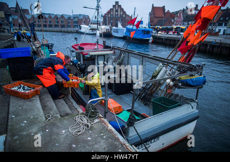 Wismar, Germany. 17th Mar, 2017. Fisherman Martin Saager unloads the Seeadler trawler in the harbour in Wismar, Germany, 17 March 2017. The fishing industry in the state of Mecklenburg-Western Pomerania is currently threatened by a combination of sinking EU fishing quotas, low demand, and rising costs. The area used to support some 170 fishing operations; today only three remain. Photo: Jens Büttner/dpa-Zentralbild/dpa/Alamy Live News Stock Photo