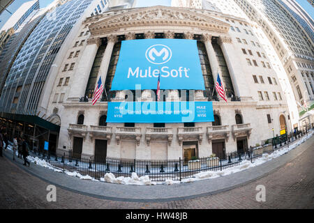 New York, USA. 17th Mar, 2017. The New York Stock Exchange is decorated for the technology company Mulesoft's initial public offering on Friday, March 17, 2017. Mulesoft, a technology company sells api (application programming interface) technology allowing companies to integrate business applications from a variety of different data sources. ( © Richard B. Levine) Credit: Richard Levine/Alamy Live News Stock Photo