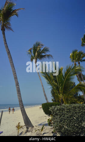 Fort Myers beach. Florida. USA Stock Photo