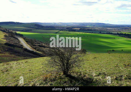 A view from Ivinghoe Beacon Stock Photo