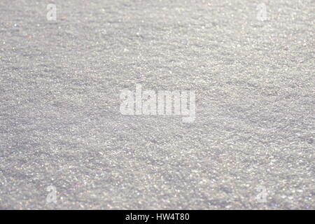 Glistening white snow after a winter storm Stock Photo