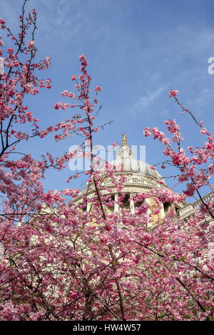 From winter to spring at St Paul's Cathedral, London.