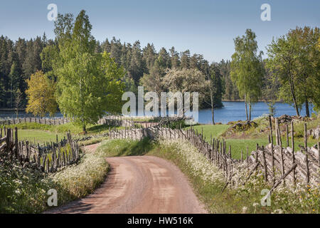 Picturesque country road leading to a lake through a beautiful rural landscape, Smaland, Sweden, Scandinavia. Stock Photo