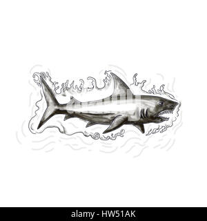 Tattoo style illustration of a shark swimming in water viewed from the side set on isolated white background. Stock Photo