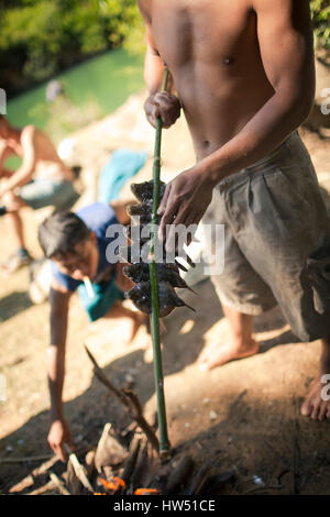 Laotian people from a village preparing a fish meal, Laos. Stock Photo