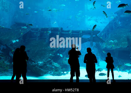 Silhouettes of people against a big aquarium. Tourist looking fish in aquarium. Stock Photo