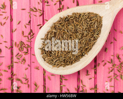 Spoonful of Dried Cumin Seeds Spice Stock Photo