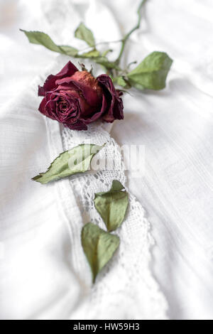 Dried red rose on white tablecloth Stock Photo