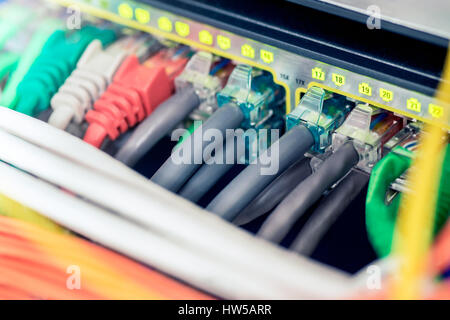 Network ethernet active switch with connected colorful cables Stock Photo