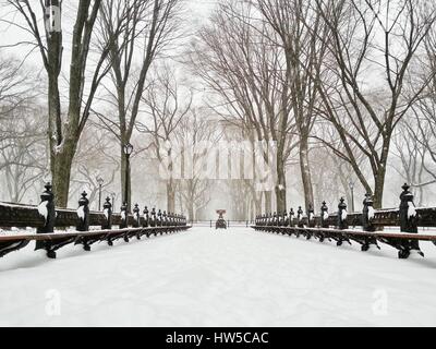 Snowstorm in Central Park, Manhattan, New York, America, USA Stock Photo