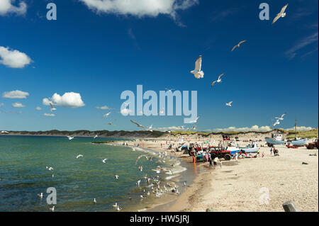 The beach at Nr. Vorupoer (Nr. Vorupør), a picturesque fishing village on the west coast of Jutland, Denmark Stock Photo