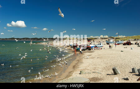 The beach at Nr. Vorupoer (Nr. Vorupør), a picturesque fishing village on the west coast of Jutland, Denmark Stock Photo