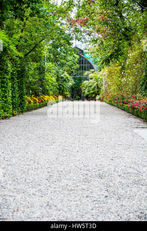 Stone path among beautiful trees in garden Stock Photo