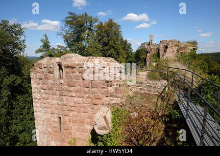 France, Moselle, Philippsbourg, Falkenstein castle dated 13th century, semi troglodyte ruins Stock Photo