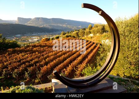 France, Alpes Maritimes, Nice, Domaine du Toasc, vineyard Stock Photo