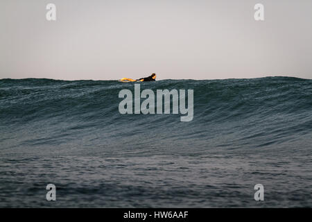 A Surfer paddles over a big Ocean wave on the north shore of Oahu Hawaii Stock Photo