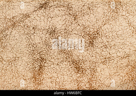 horizontal macro close up of light cream vintage leather texture with cracks and wrinkles Stock Photo