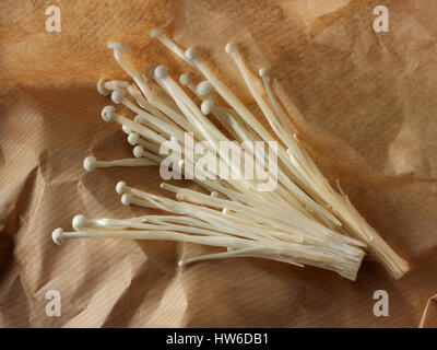 Fresh picked cultivated Enokitake, Enokidake or Enoki (Flammulina velutipes) commonly known as golden needle mushroom or lily mushroom, an edible mush Stock Photo