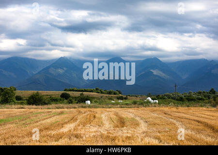 Walking tour through the romanian countryside, mountains, villages, waters. Holidays in carpathian nature. Stock Photo