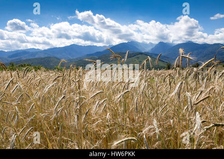 Walking tour through the romanian countryside, mountains, villages, waters. Holidays in carpathian nature. Stock Photo