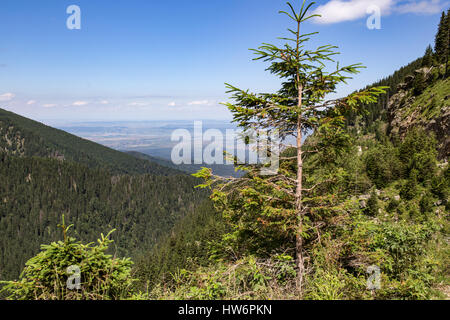 Walking tour through the romanian countryside, mountains, villages, waters. Holidays in carpathian nature. Stock Photo