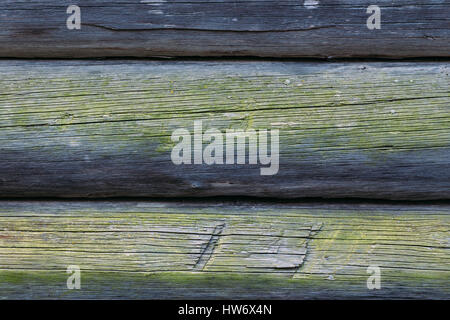 Part of the wall of old logs covered with moss. Wooden background. Stock Photo