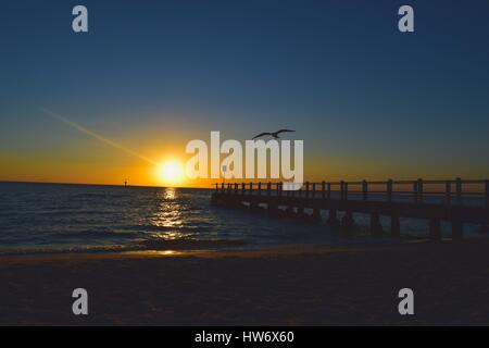 One of many beautiful sunsets on Brighton Beach, on a quiet and peaceful evening. Photo captured as seagull flies into the horizon. Stock Photo