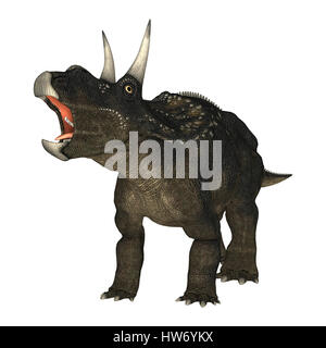 3D rendering of a dinosaur Diceratops isolated on white background Stock Photo