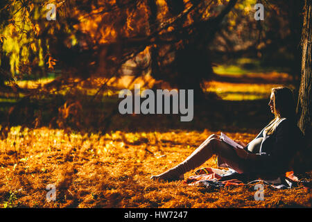 Young pregnant woman sitting under  tree in the autumn park and reading  book Stock Photo