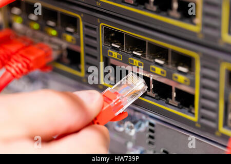 IT consultant connects a network cable into switch in datacenter Stock Photo