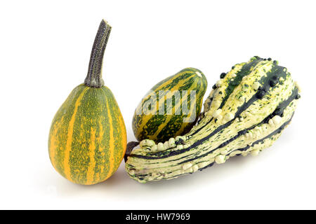 three decorative mini pumpkins. Stock Photo