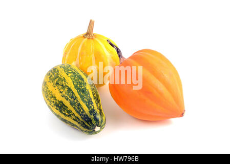 three decorative mini pumpkins. Stock Photo