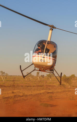 Robinson R22 Beta helicopter flying low, at sunset, mustering cattle in northern Western Australia. Flown by David Adamson. Stock Photo