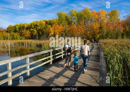 Canada, Quebec province, Montreal, Bizard Island, the Nature Park Bois ...