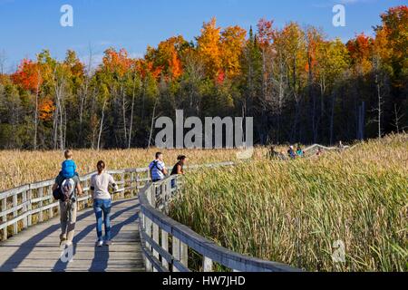 Canada, Quebec province, Montreal, Bizard Island, the Nature Park Bois ...