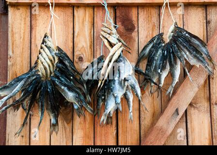 Estonia (Baltic States), Lake Peipus, Lake Peipsi, Dried fish (carp bream) Stock Photo