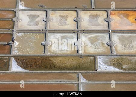 France, Loire Atlantique, Guerande, Guerande salt marshes, salt worker collecting the salt (aerial view) Stock Photo