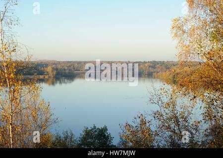 France, Nord, Raismes, Mare Goriaux, overview of the waterbody Stock Photo
