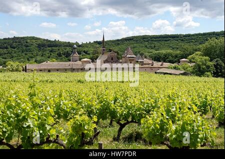 France, Gard, Saint Paulet de Caisson, Chartreuse de Valbonne (13th century) Historical Monument Stock Photo