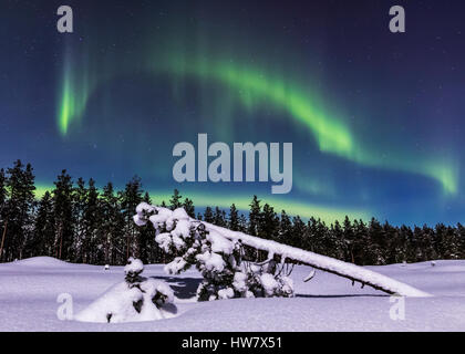 Snowy night in Finland Stock Photo